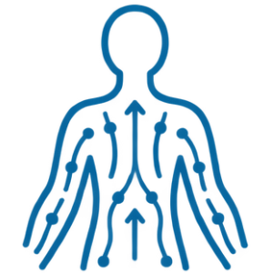 Body-Lymphatic-img